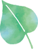 icon leaf