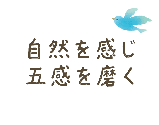 自然を感じ五感を磨く